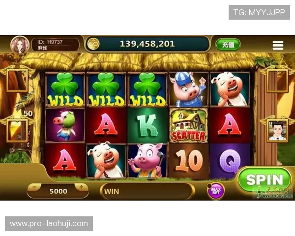 小玛丽水果机游戏怎么玩，详细操作指南帮助新手快速上手体验乐趣